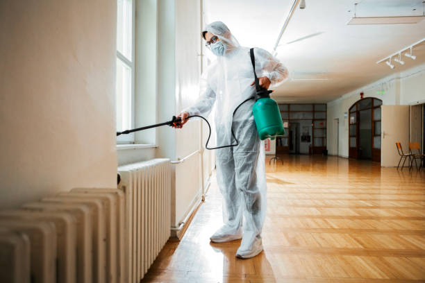 Best Flea Control Services  in Platteville, CO